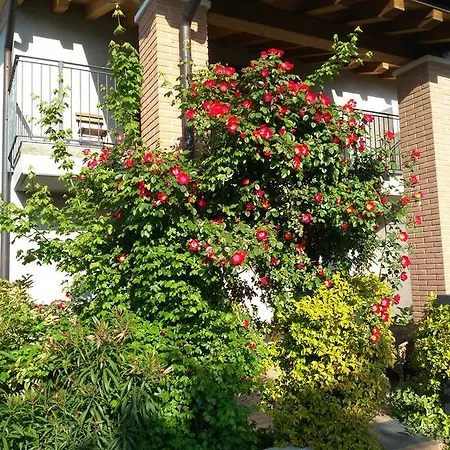 住宿加早餐酒店 马罗斯蒂卡住宿加早餐旅馆