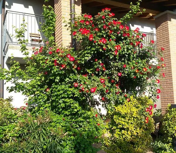 Bed & Breakfast B&B Marostica