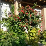 Couette-café B&B Marostica